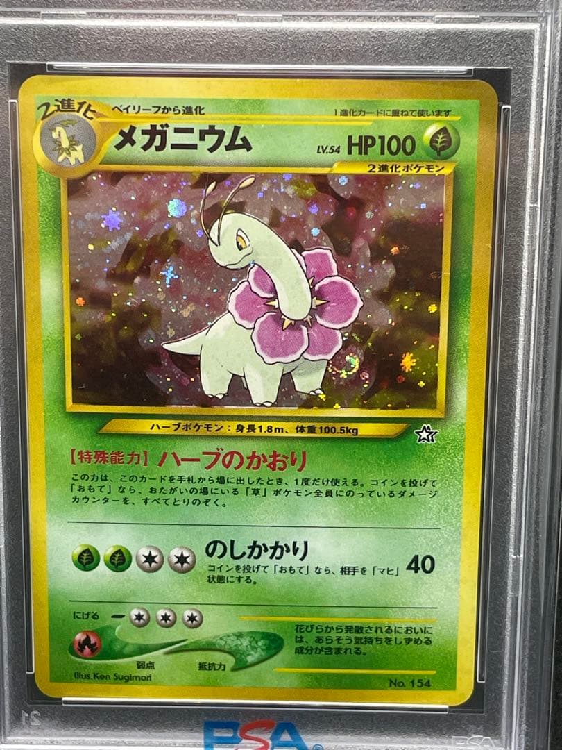 メガニウム 旧裏　psa8　渦あり　十字あり　プレミアムファイル
