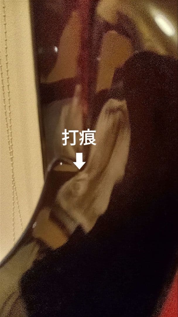 Tokai Love Rock /レスポールスタジオタイプ/訳あり動作/パープル