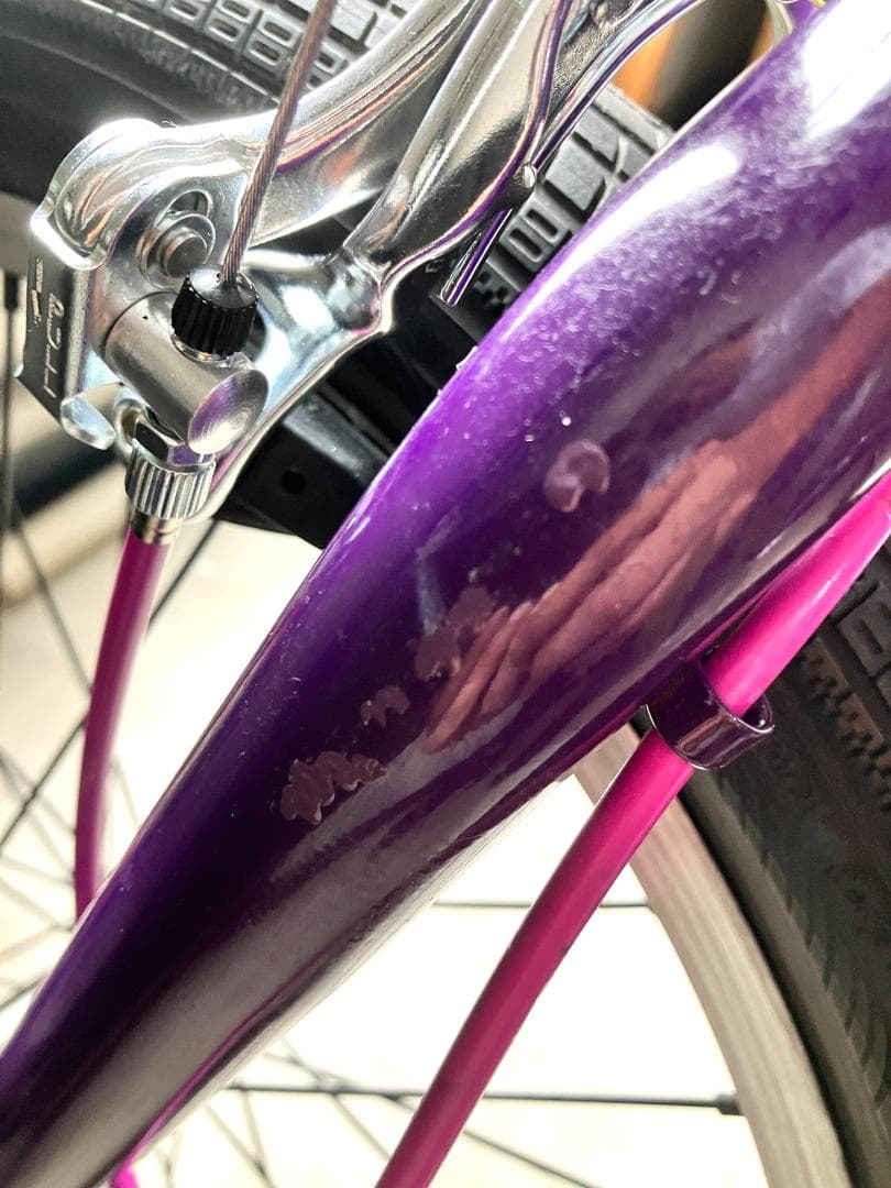 Hoffman BMX Bikes『condor』30th