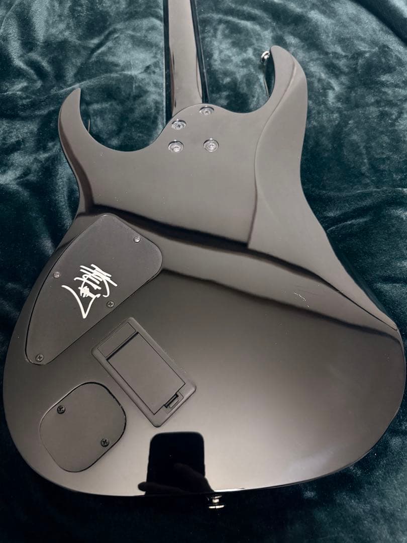 ギター ibanez mtm2