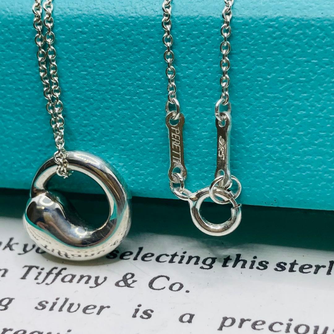 極美品✨ ティファニー ネックレス エターナル サークル AG925 - メルカリ