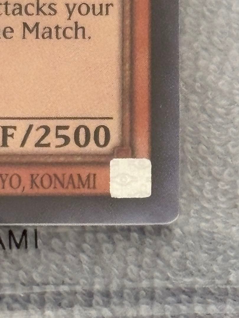 【Pika】遊戯王OCG 日本選手権2025 後期プロモ