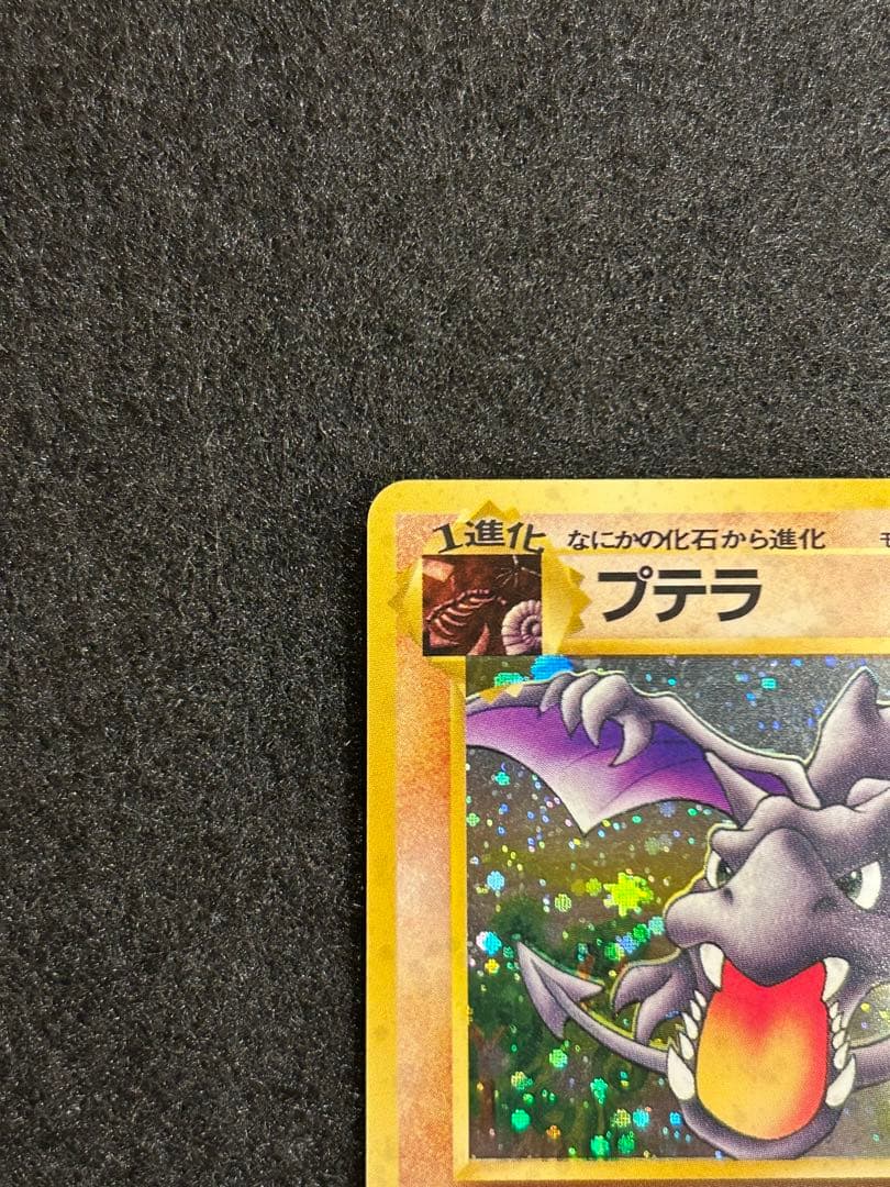 【美品】プテラ 第3弾拡張パック 化石の秘密