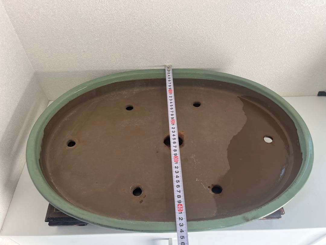 特大　桜陶　落款　緑釉　楕円　盆栽鉢