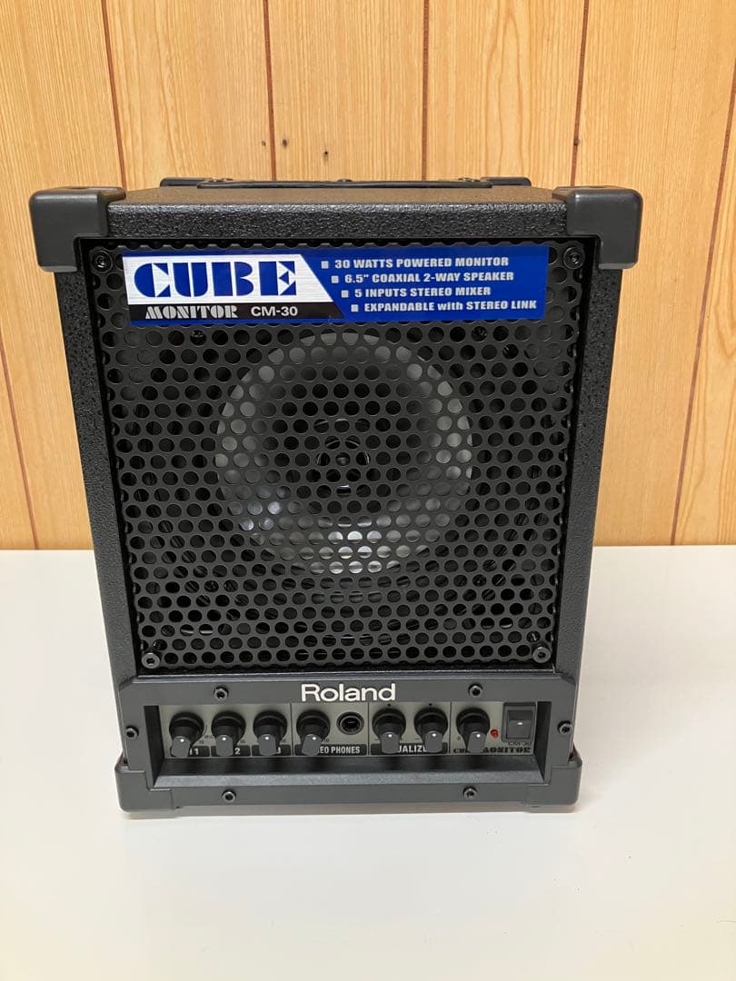 E03 Roland ローランド CUBE CM-30 モニタースピーカー