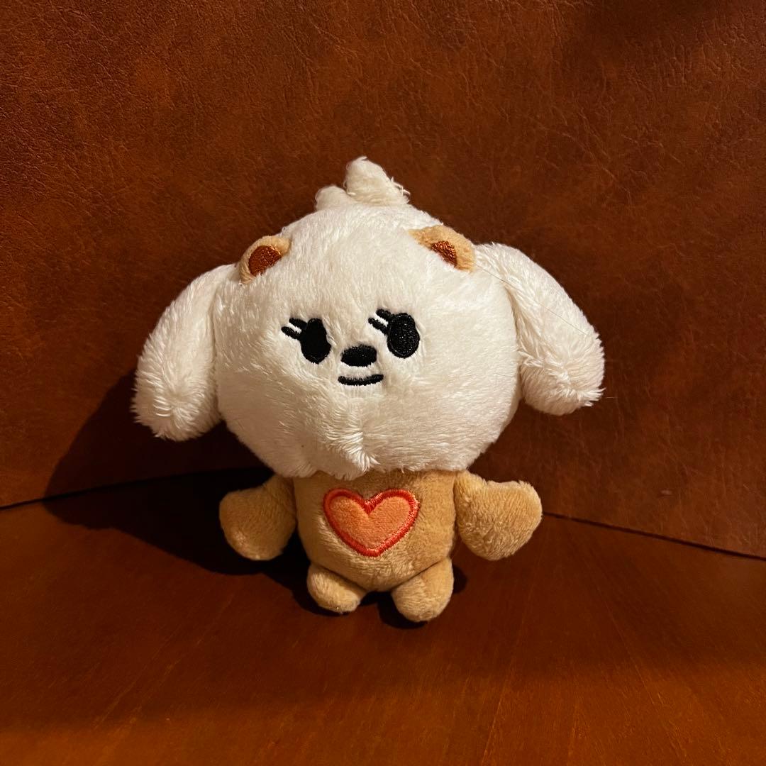 ボムギュ ミニアクスタ バムグッ ヘアクリップ バムグッヘアクリップ