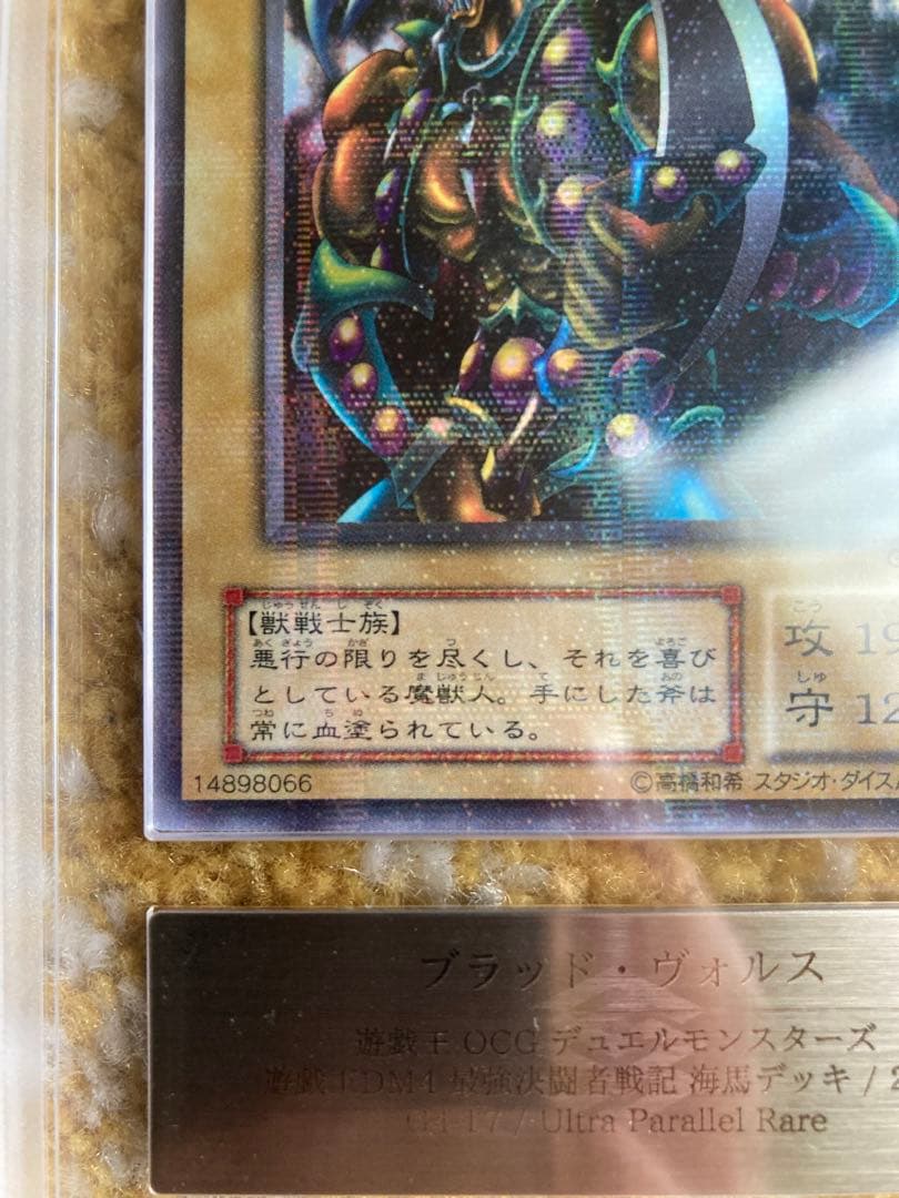 ワッター　8月31日12時迄　ブラッド・ヴォルス ウルパラ　ARS8