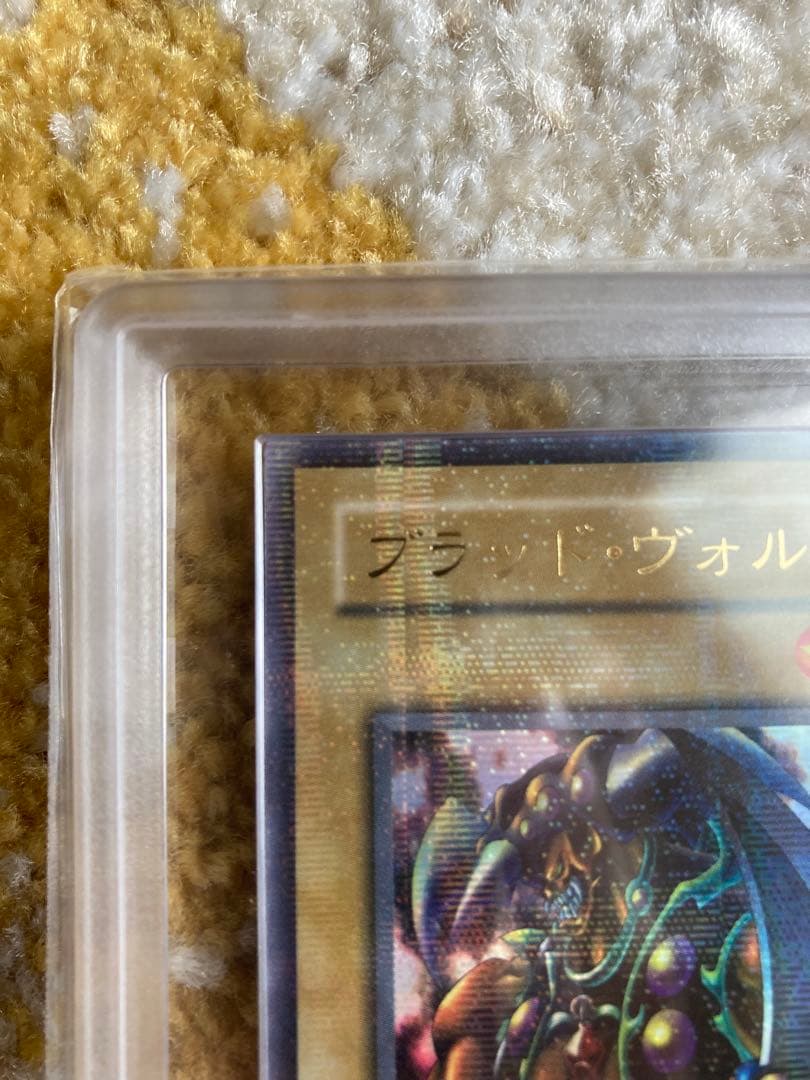 ワッター　8月31日12時迄　ブラッド・ヴォルス ウルパラ　ARS8