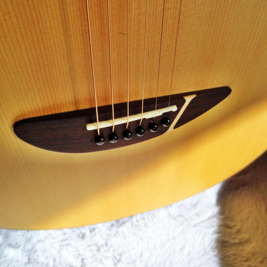 軽量で弾きやすいエレアコのマレーシア発ブランド\"エル・ルシアー\"