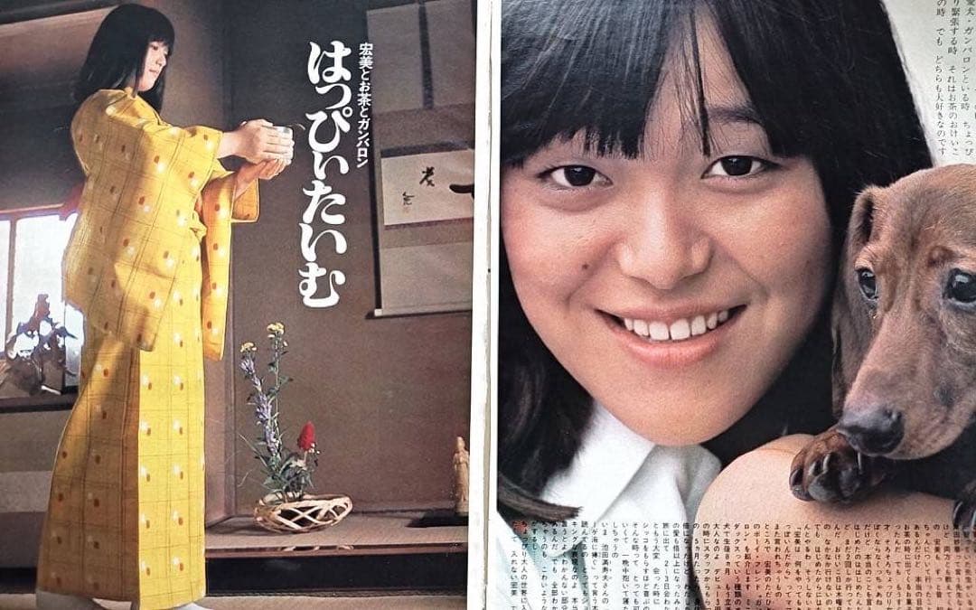 昭和のスタア＆アイドル 岩崎宏美 切抜セット - メルカリ