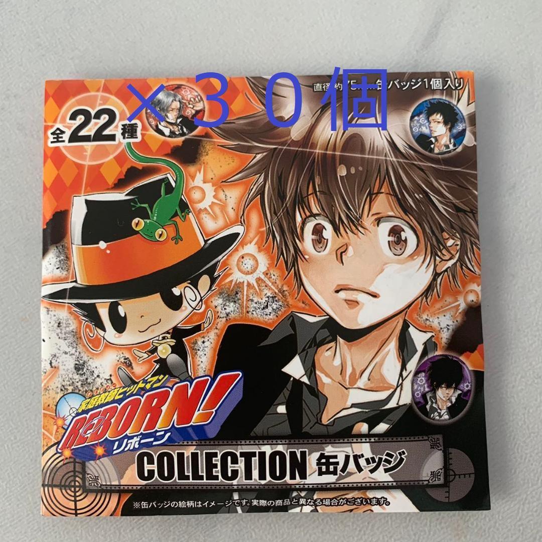 家庭教師ヒットマンREBORN コレクション缶バッジ 未開封30点セット