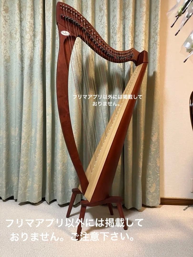 【最終値下げ】美品　レバー　ハープ　salvi サルヴィ 34 調整済み