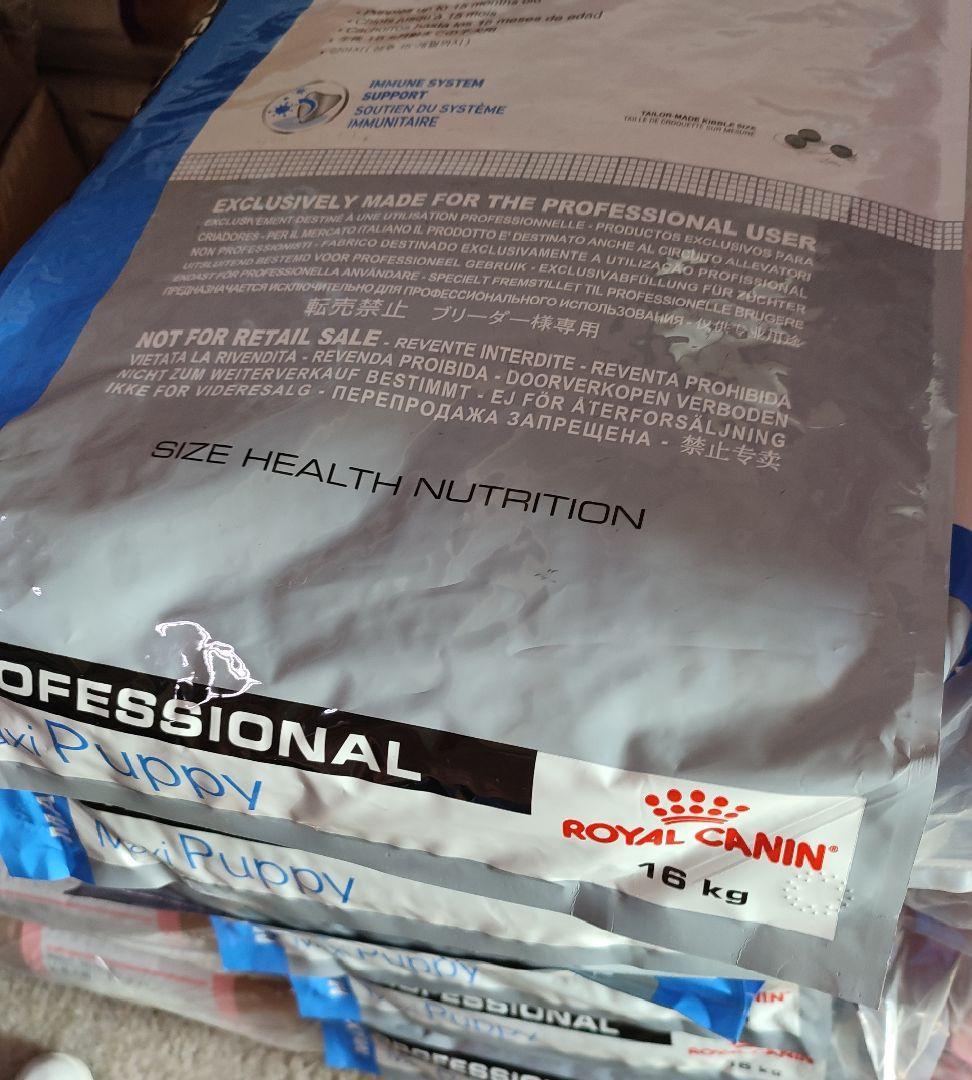 2024 ロイヤルカナン プロフェッショナル マキシパピー16kg ロイヤル