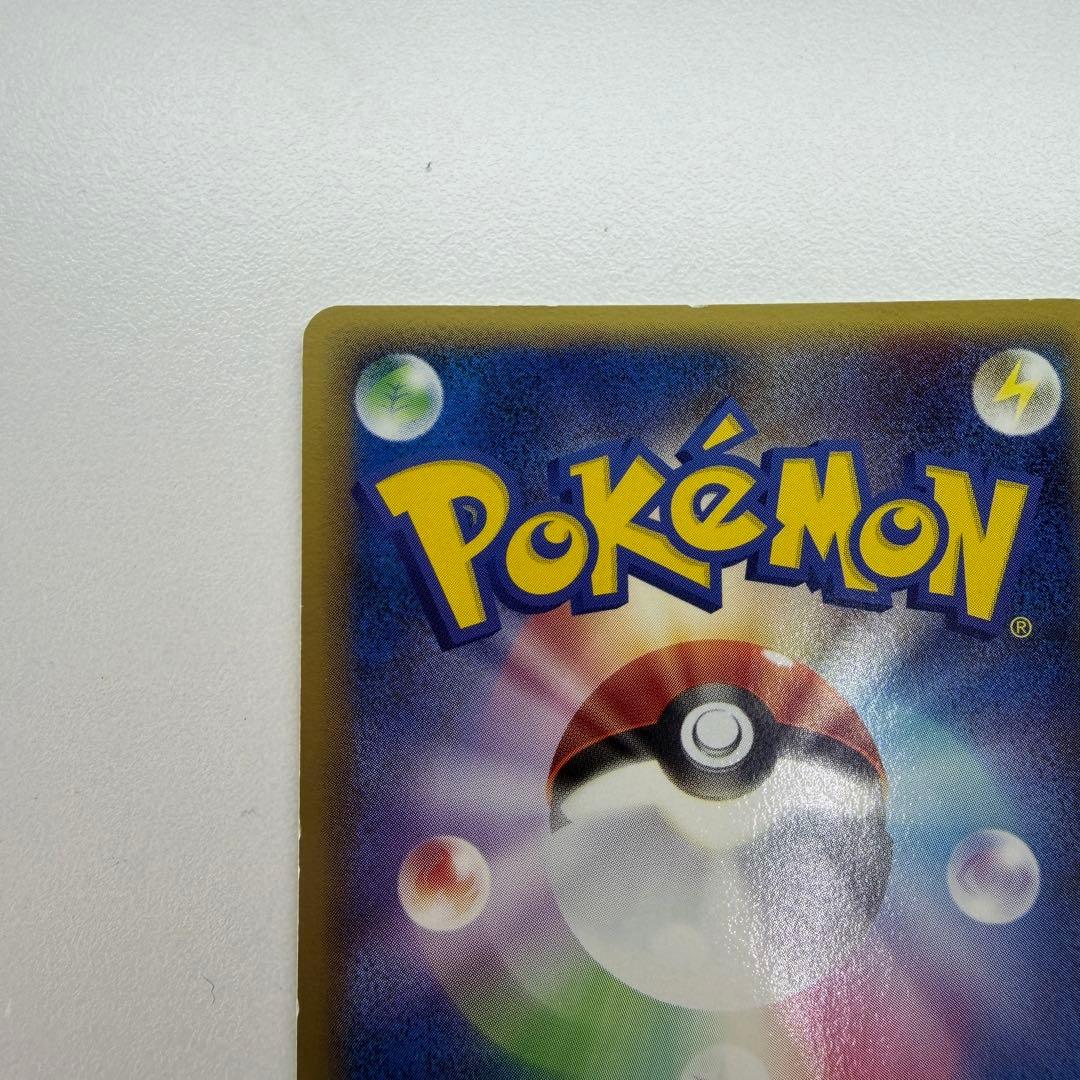 ポケパークのピカチュウ P [PCG-P 043](プロモ48