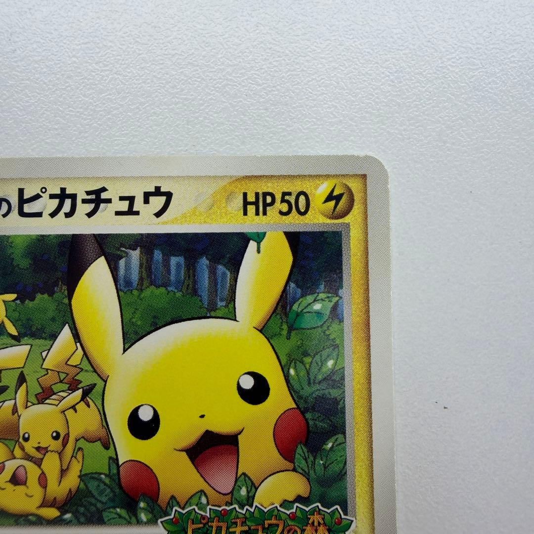 ポケパークのピカチュウ P [PCG-P 043](プロモ48