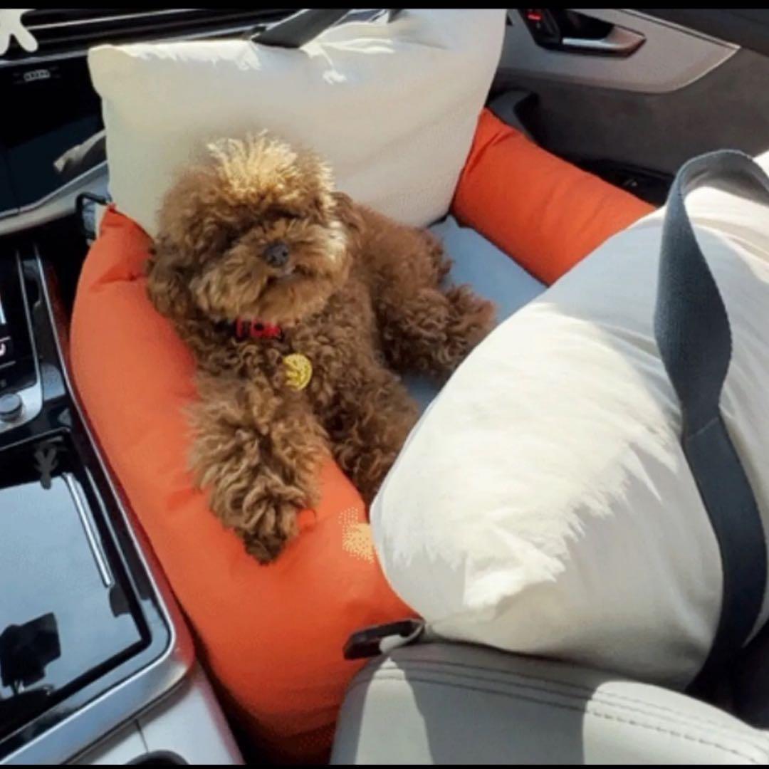 ペットカーシート ペットドライブボックス ペットキャリー犬用カー