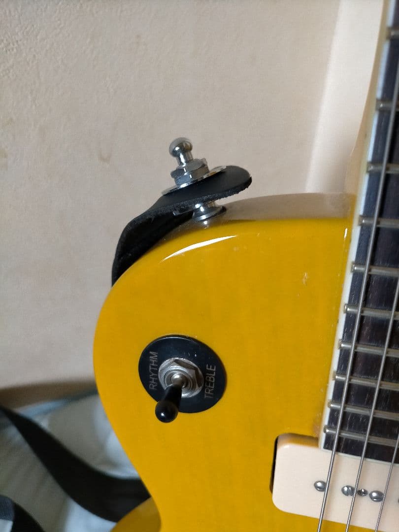 Blitz by AriaProⅡ レスポールスペシャルタイプ