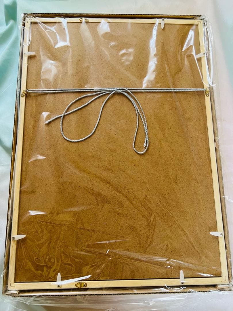 ときメモGS額装イラスト(不二山嵐＆新名旬平)