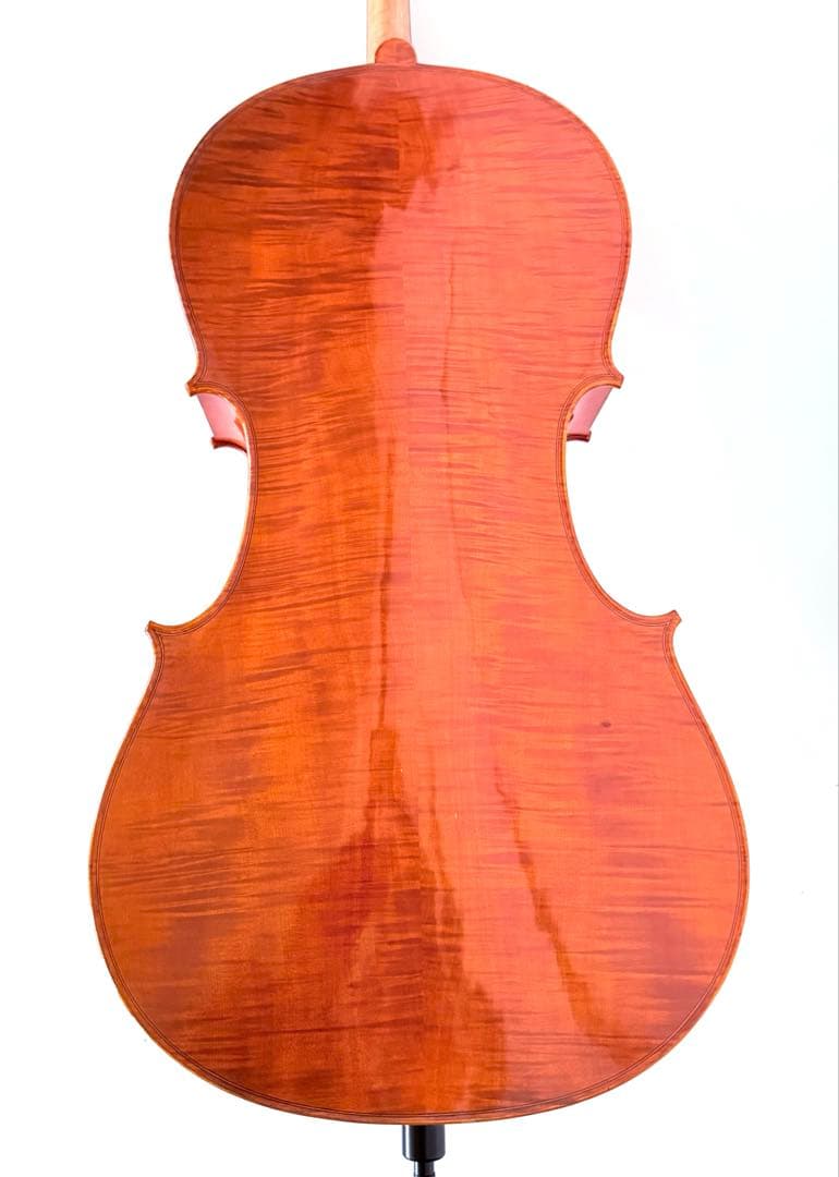 弦楽器 mocototo carlo giordano 4/4 sc-240 20