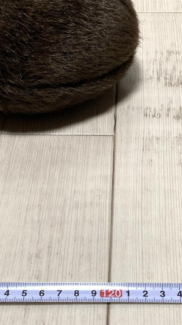 サンアロー　となりのトトロ　ネコバス　特大ぬいぐるみ　全長120cm　ジブリ