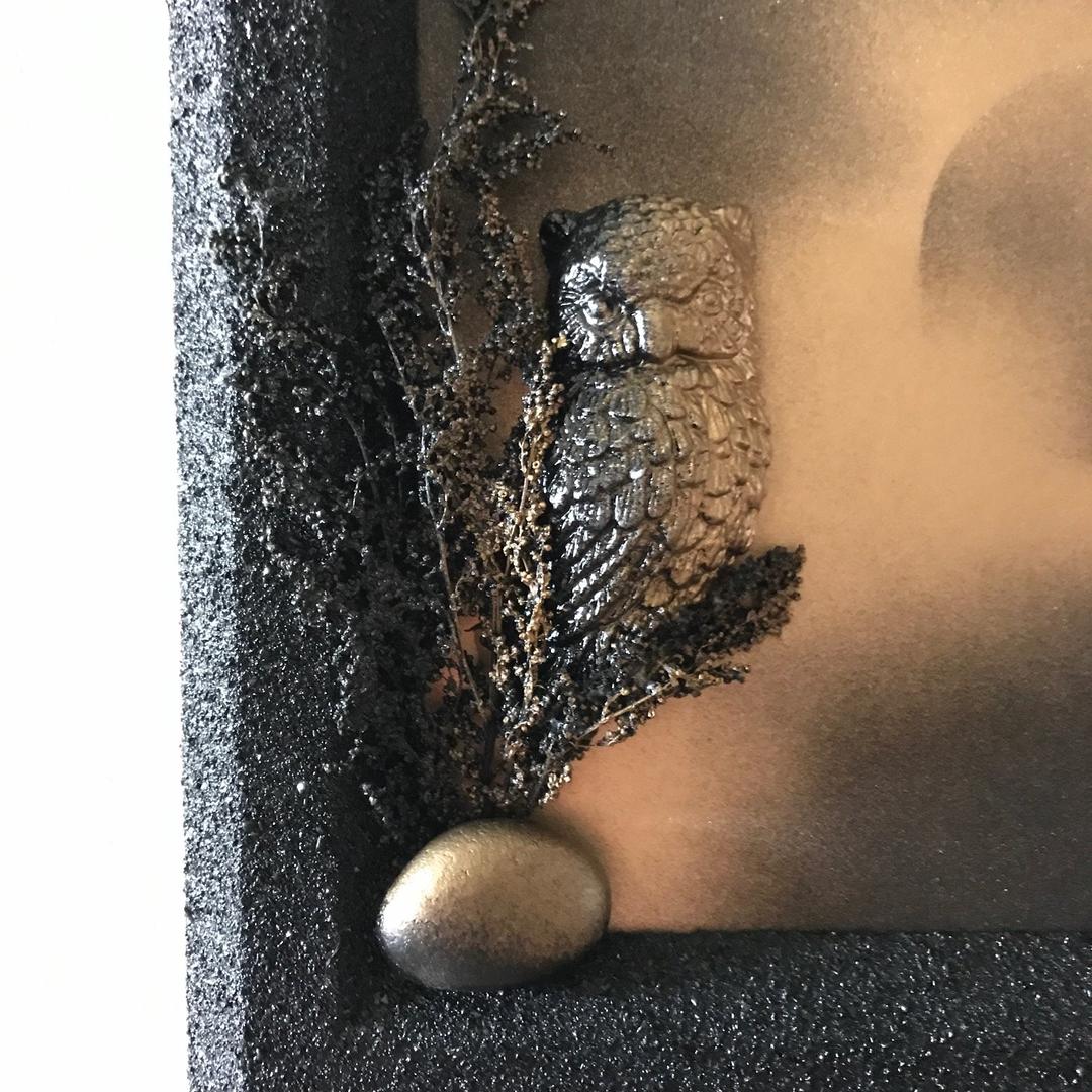 ニュージーランド　３Dモノクロマティックアート　“フクロウ”