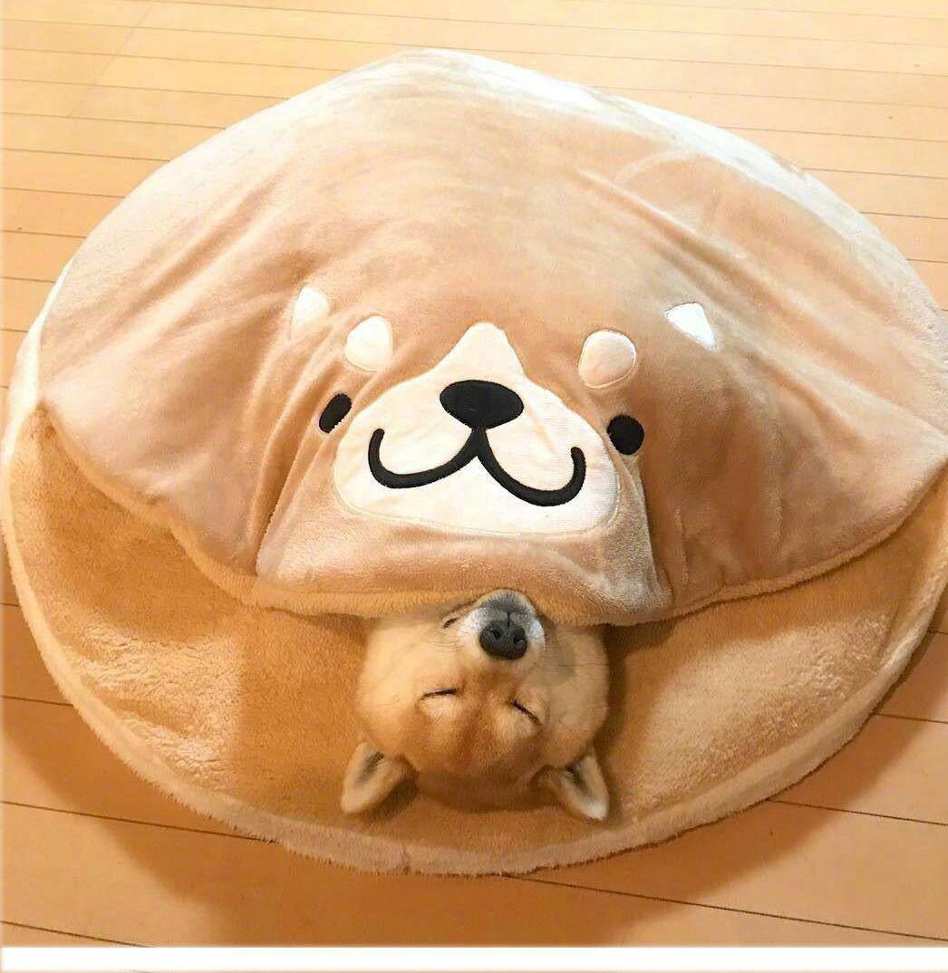 ペット ベッド 柴犬ハウス 犬ドーム型 マット付き ふわふわ 柔らかいR