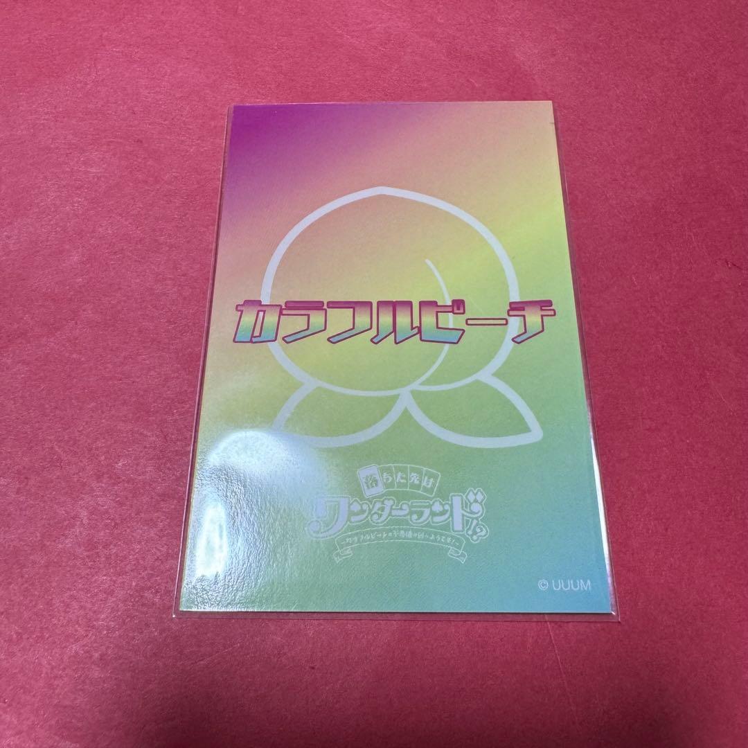 新品 カラフルピーチ 落ちた先はワンダーランド トレカ るな セット