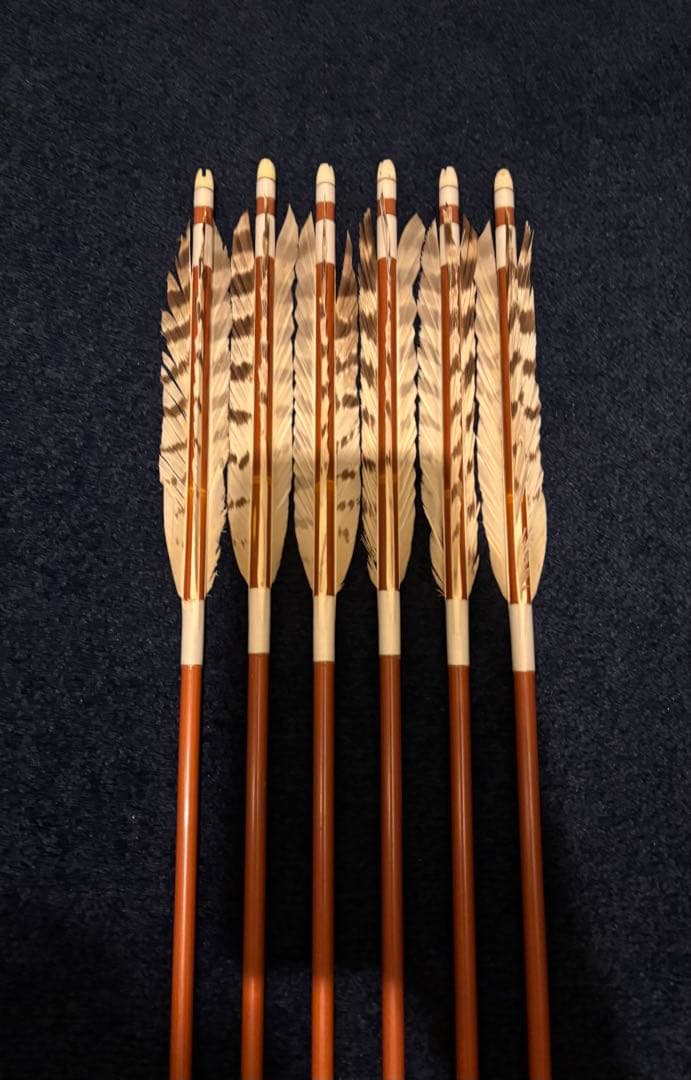 カーボン矢 6本組 雷槌（いかづち）八〇式・竹 白鷹