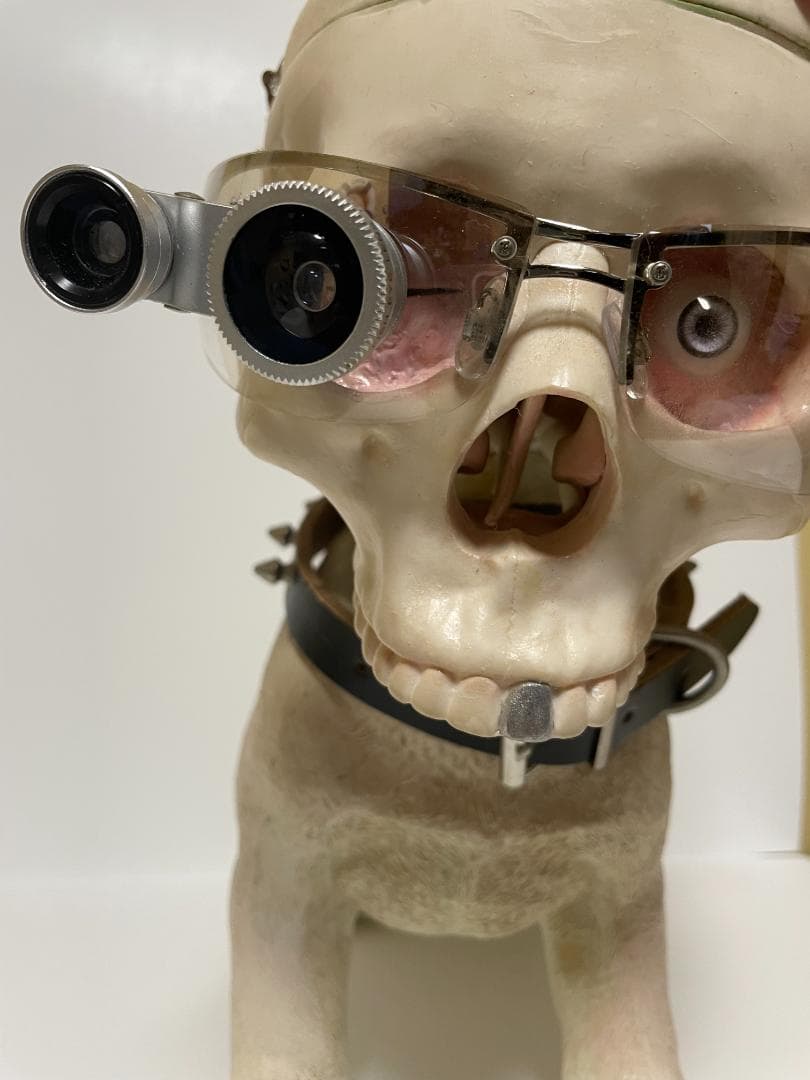 takayasu.k様専用 世田谷ベース アンダーリペアドッグ 初期バージョン