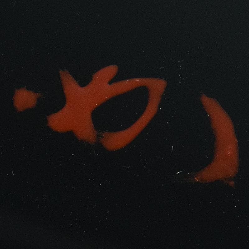 輪島塗　浜木松峰　朱塗銀タガ　手桶水指　堀内宗完(兼中斎)極め箱　VR8538H