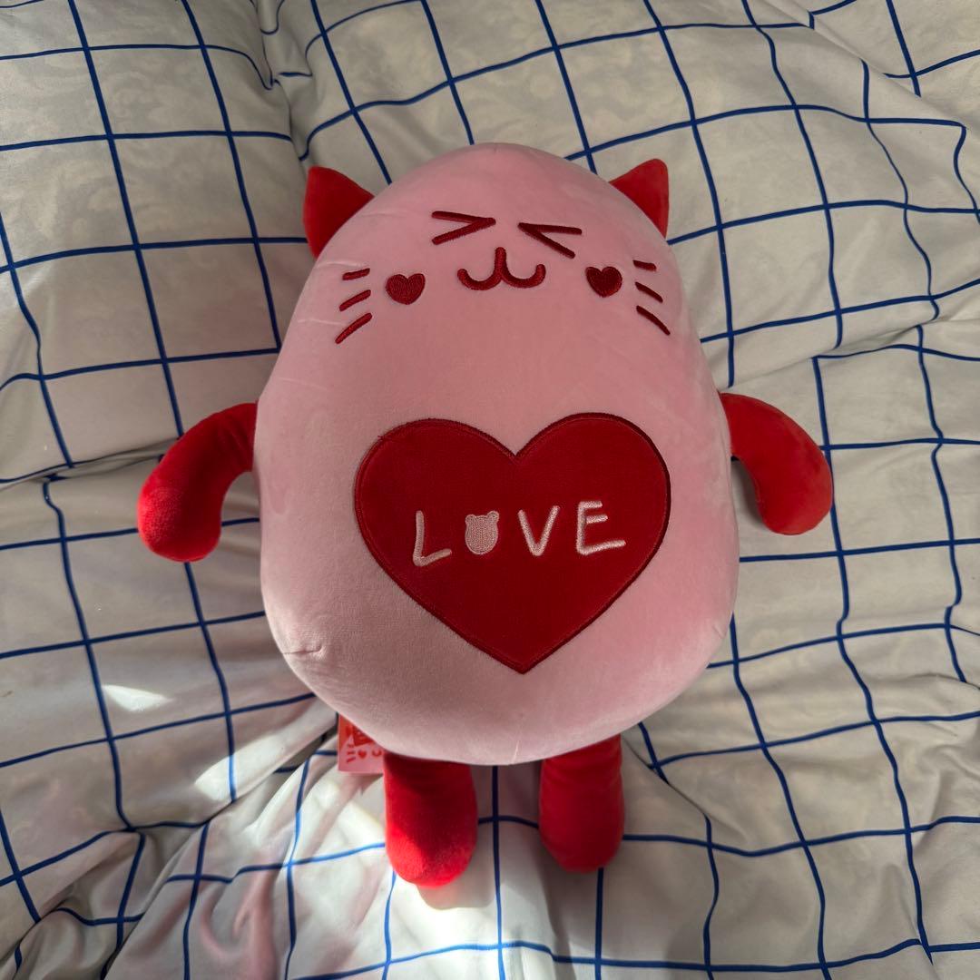 ASTRO アストロ ROROHA ニャンニャ ムンビン ぬいぐるみ - メルカリ