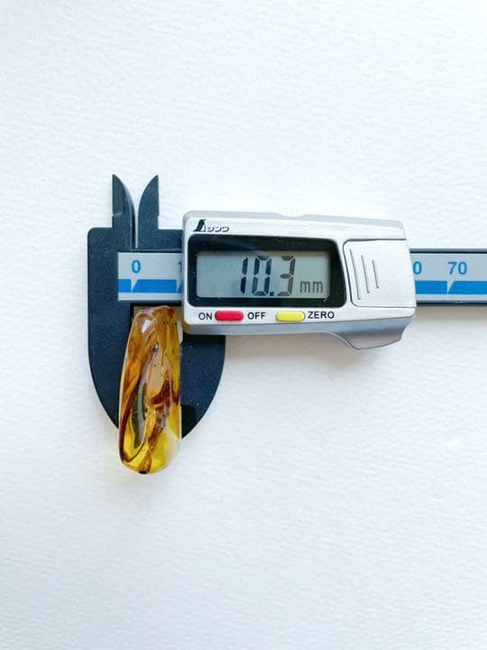 大粒 虫入り天然琥珀 植物片 化石 恐竜 夏休み 自由研究