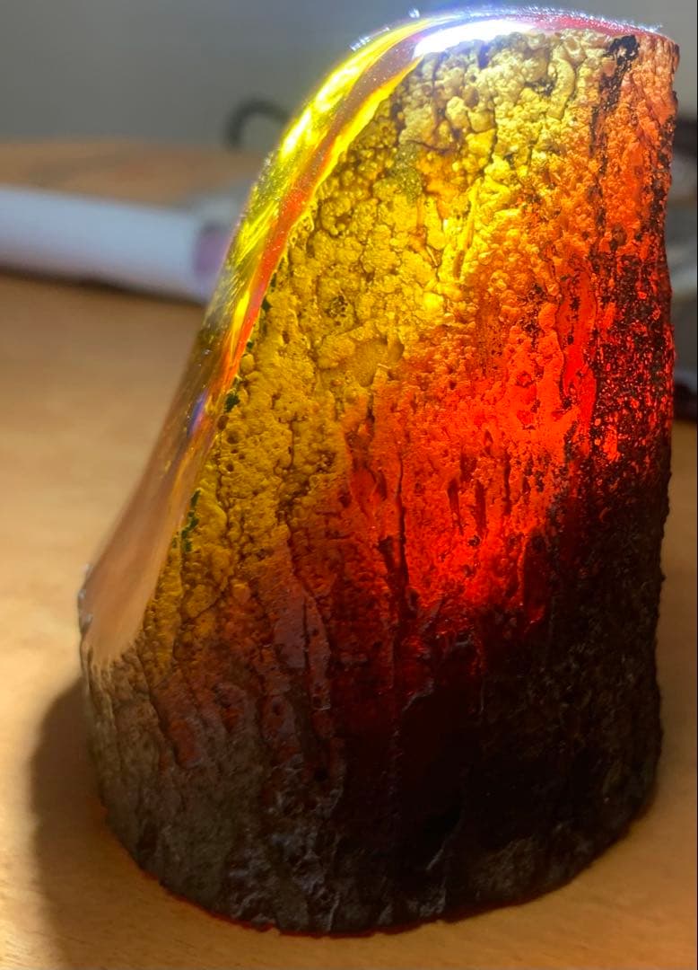 セミ レジン封入標本 テイオウゼミ樹脂琥珀標本 大型インテリア 高さ約