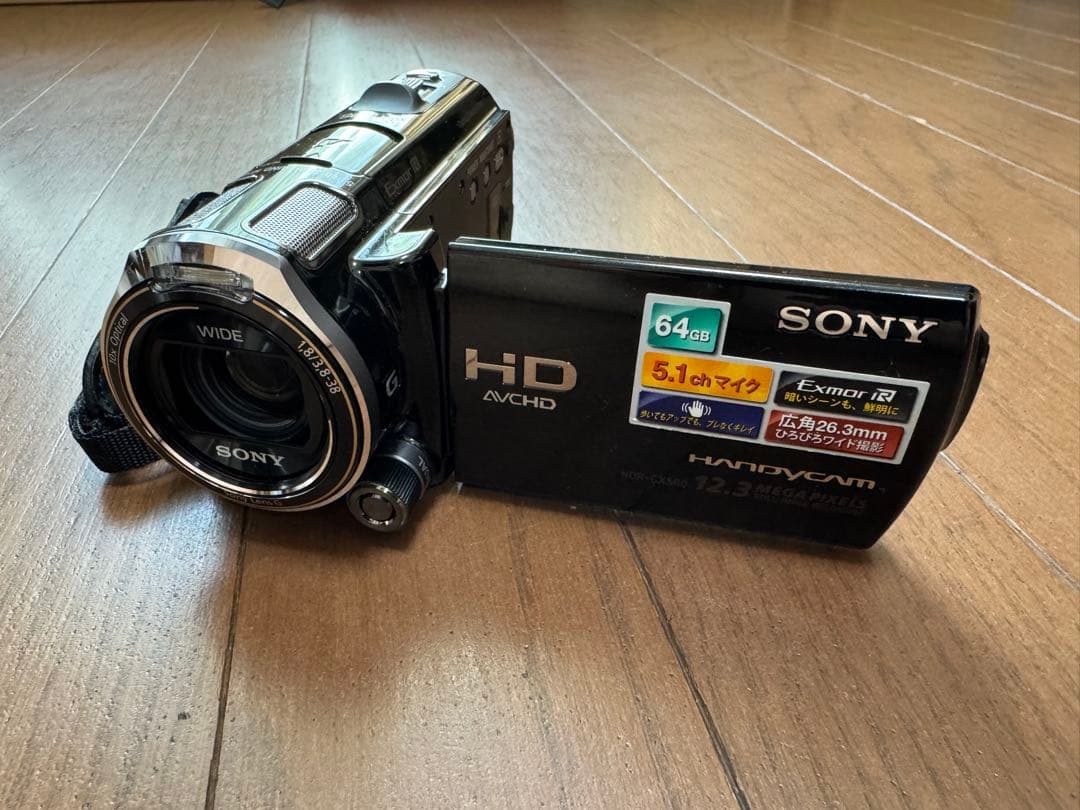 ビデオカメラ SONY Handycam HDR-CX560V