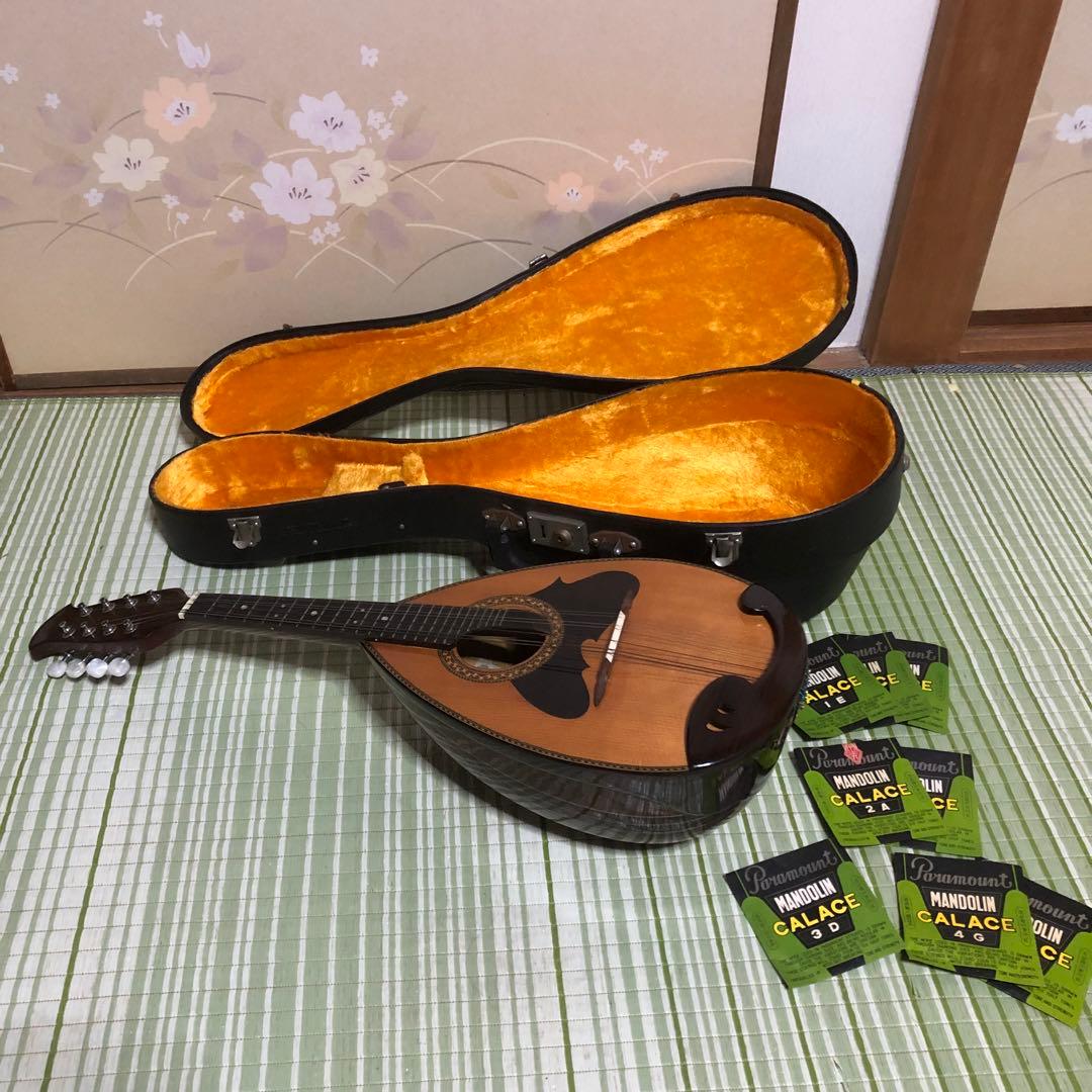 SUZUKI マンドリン M-218 鈴木バイオリン ハードケース付