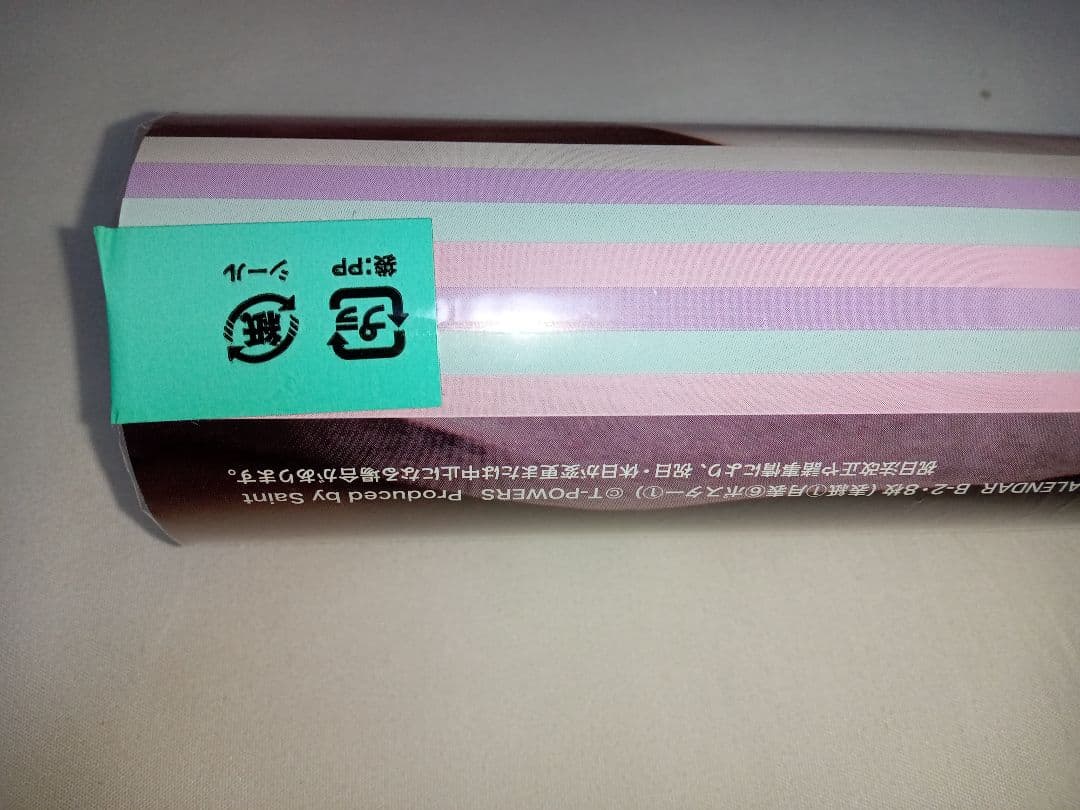 【新品・未開封】rion カレンダー b2 壁掛け 安齋らら 宇都宮しをん