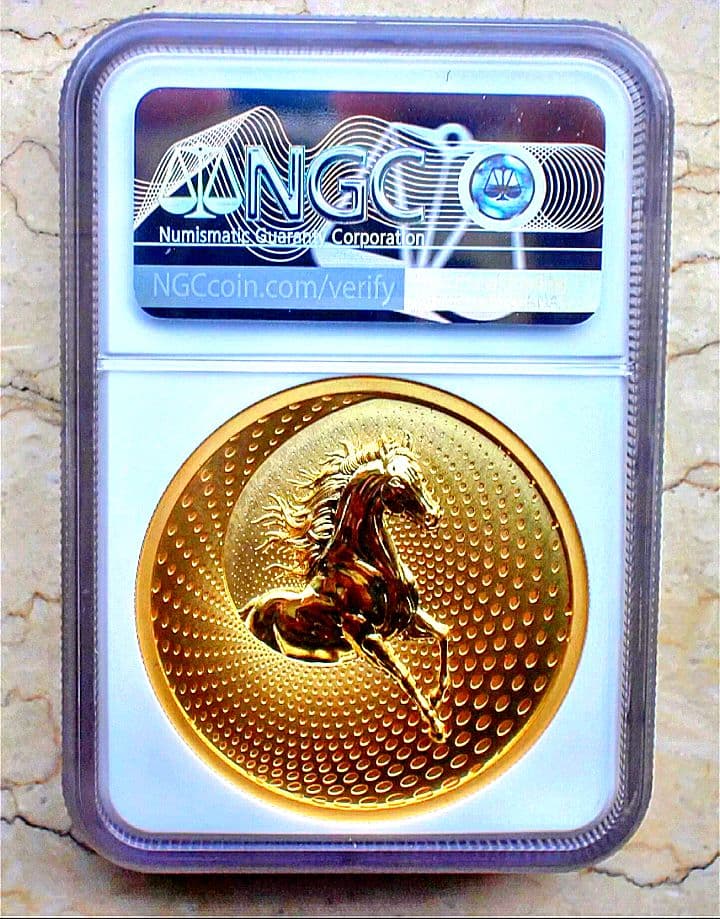 NGC MS70 最高鑑定 2024 世界 999枚 龍と馬 コイン メダル