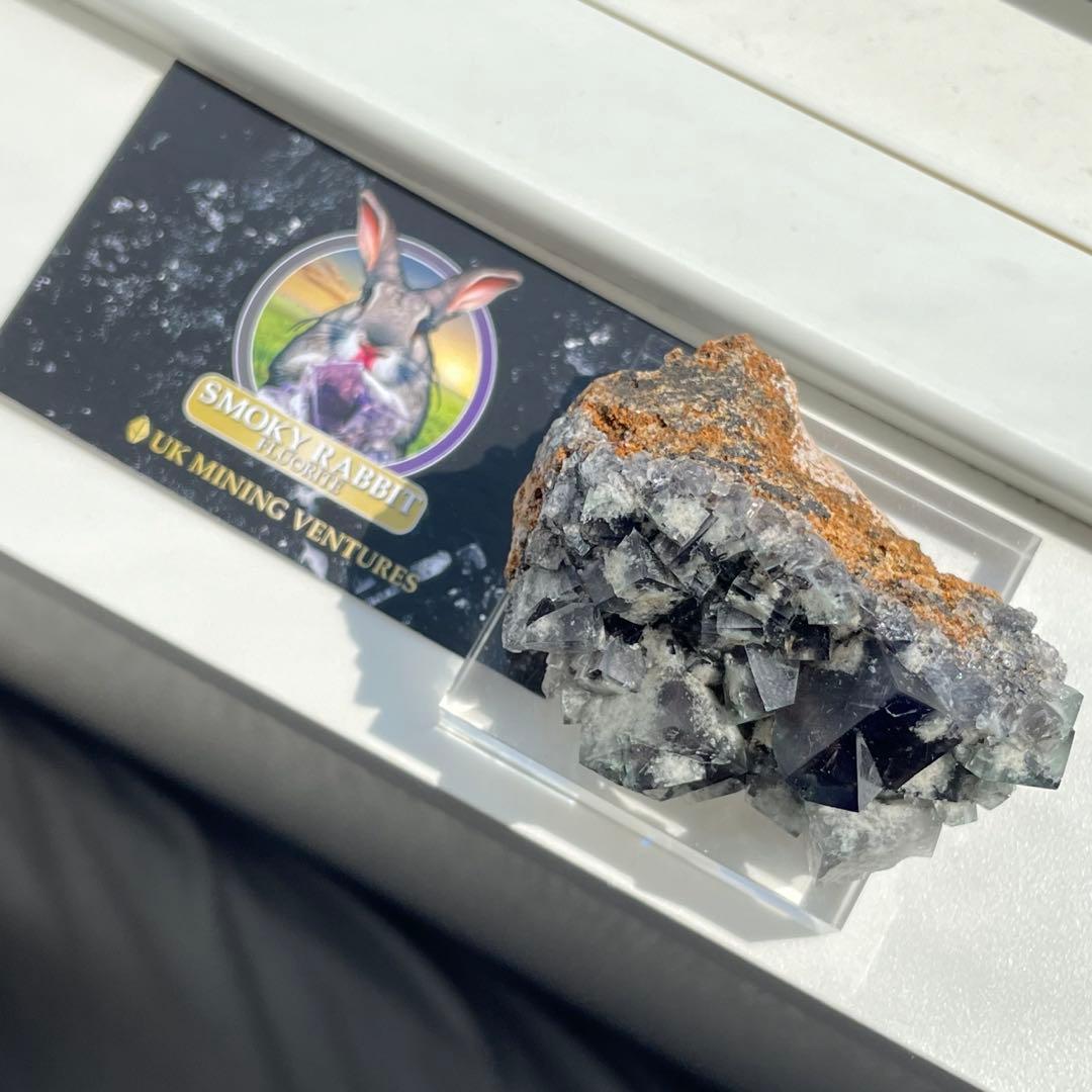 Diana Maria Smoky Rabbit Pocket フローライト - メルカリ