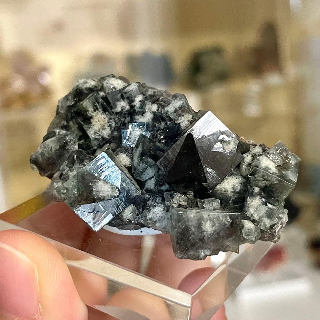 Diana Maria Smoky Rabbit Pocket フローライト - メルカリ