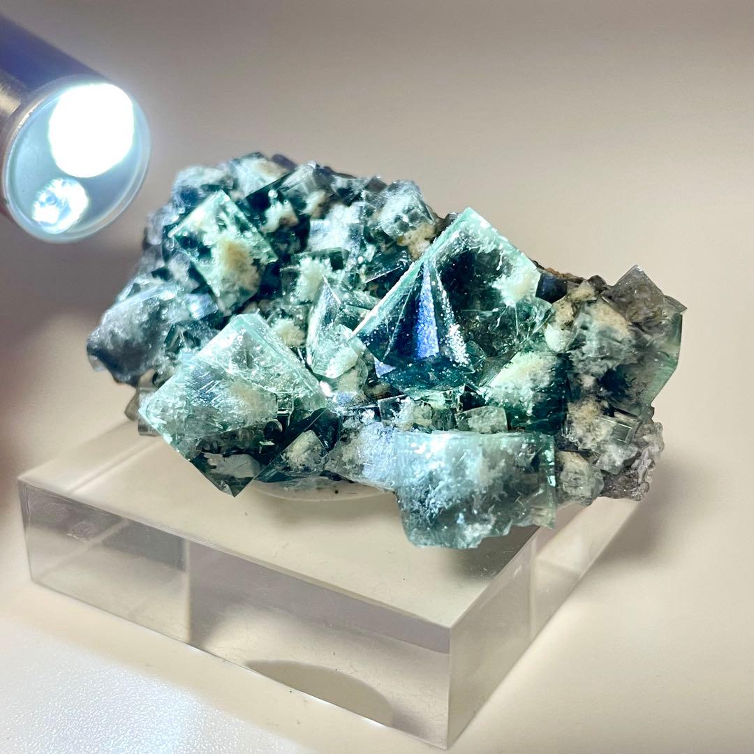 Diana Maria Smoky Rabbit Pocket フローライト - メルカリ