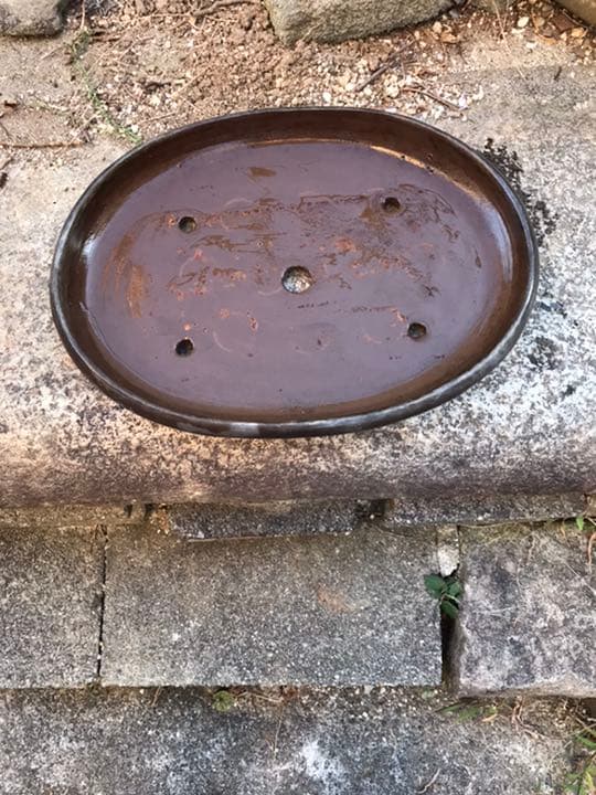 盆栽鉢　時代落款楕円縁入り盆栽鉢40.5x30.5x5cm支那鉢　和鉢 盆栽鉢 時代落款楕円縁入り盆栽鉢40.5x30.5x5cm支那鉢 和鉢