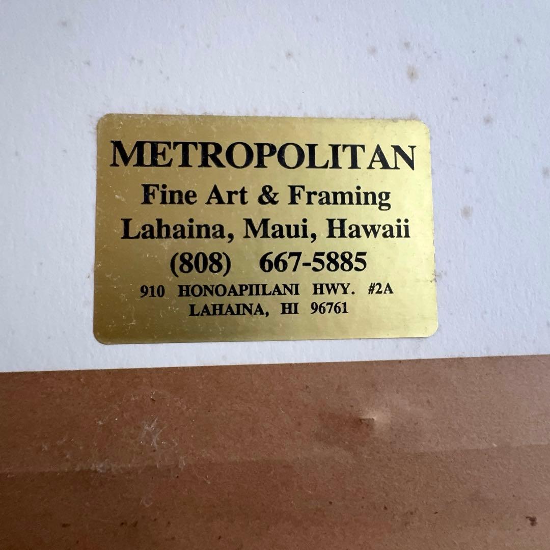 ジョン・ピトレー 「フリーダム」 直筆サイン有 マリンアート イルカ