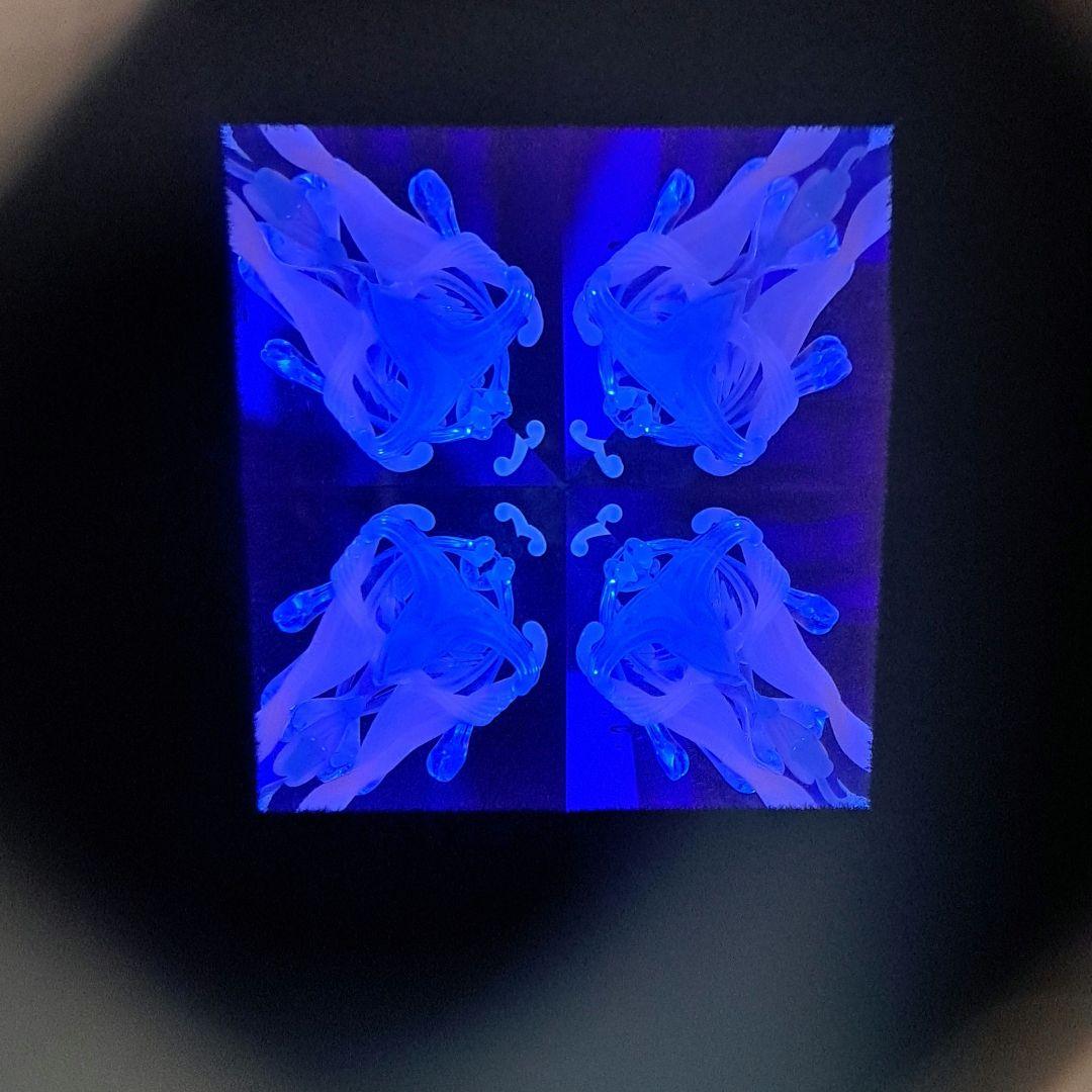 最終値下げ代永正樹さんドライ万華鏡1点物