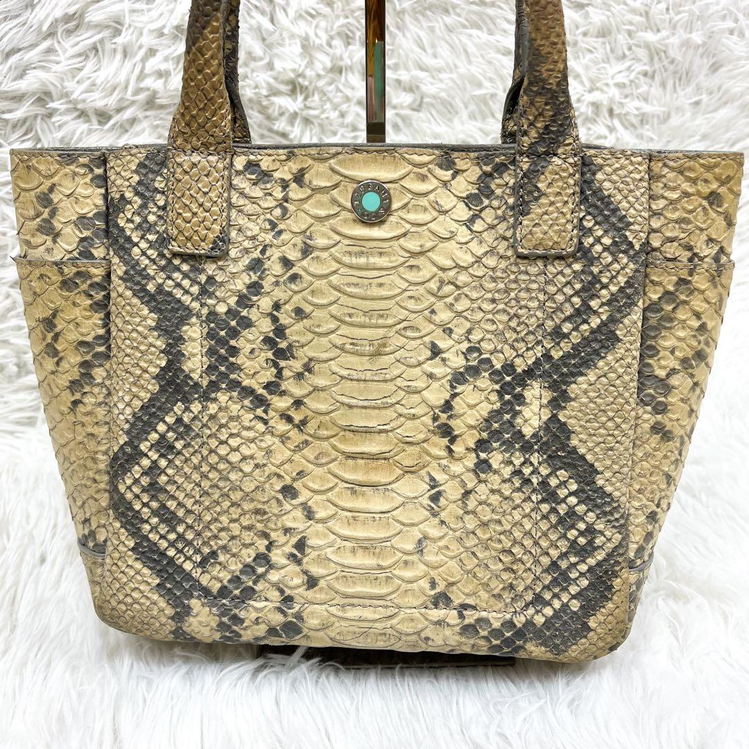 超希少 ティファニー ハンドバッグ リアルパイソンレザー ロゴ金具