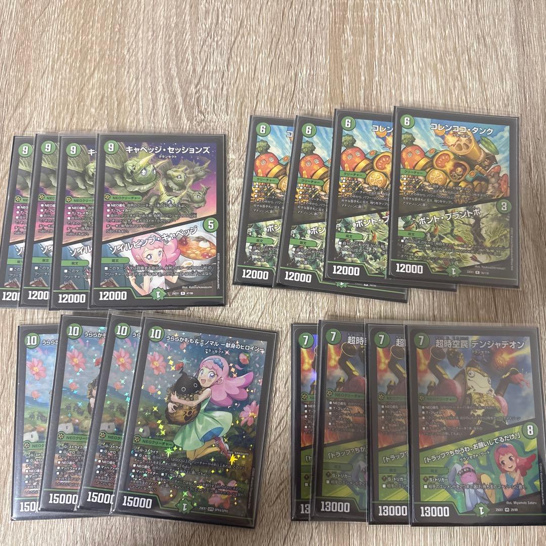 緑単キャベッジ　グランセクト