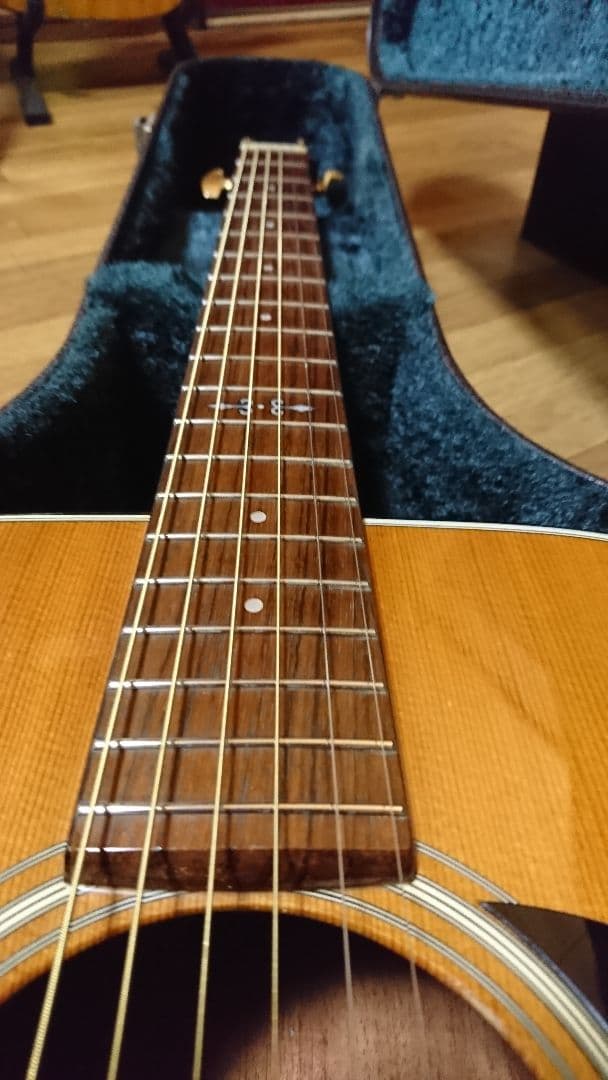 矢入 ヤイリ yairi RAY-601