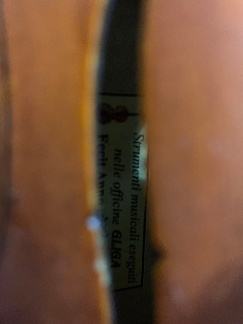 バイオリン　Gliga Gems お子様　3/4サイズ