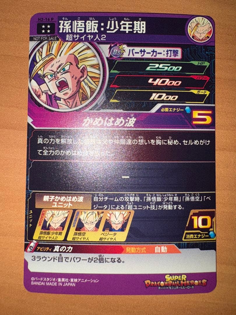 H2-16 P 孫悟飯：少年期