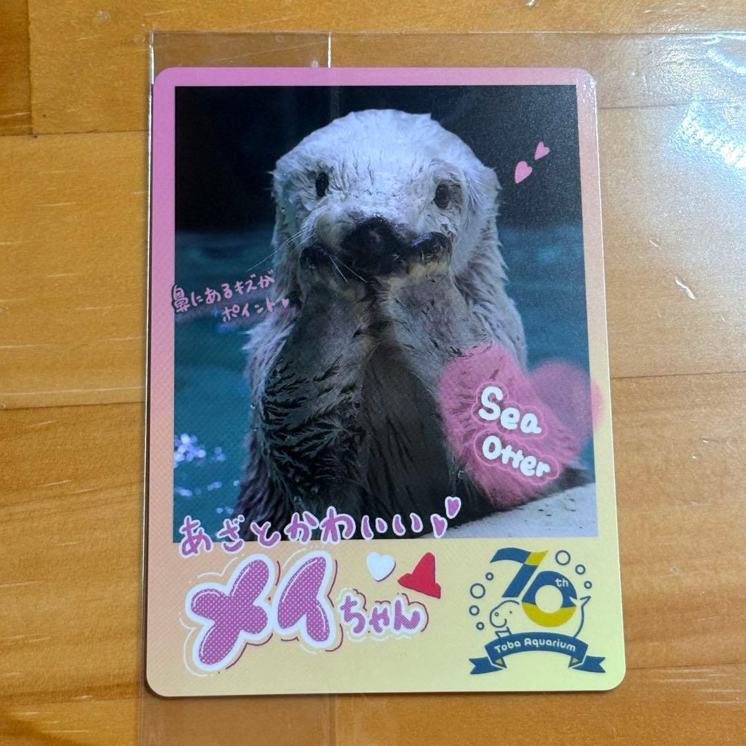 鳥羽水族館 コレクションカード メイ - メルカリ
