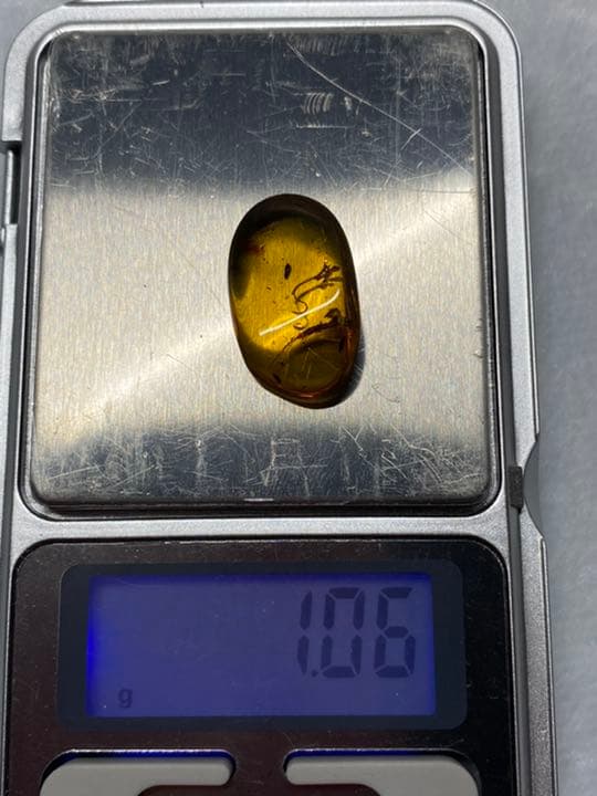 琥珀 虫入り 天然 アンバー 罕石卵 天然石 ムカデ 百足 甲虫